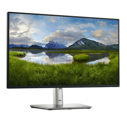DELL P Series P2425H computer monitor 60.5 cm (23.8 DELL P Series P2425H computer monitor 60.5 cm (23.8